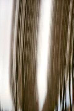 Bomenrij, Abstract (2) van André Bouterse