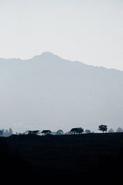 Paysage à eSwatini, Swaziland, pendant l'heure bleue sur Suzanne Spijkers