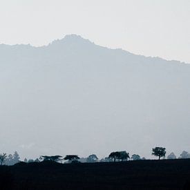 Landschap in eSwatini, Swaziland, tijdens het blauwe uur van Suzanne Spijkers