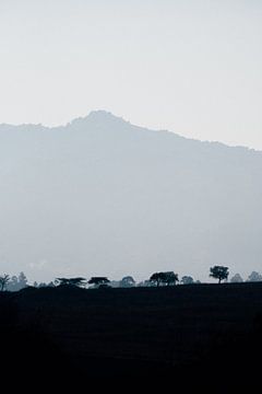 Landschap in eSwatini, Swaziland, tijdens het blauwe uur