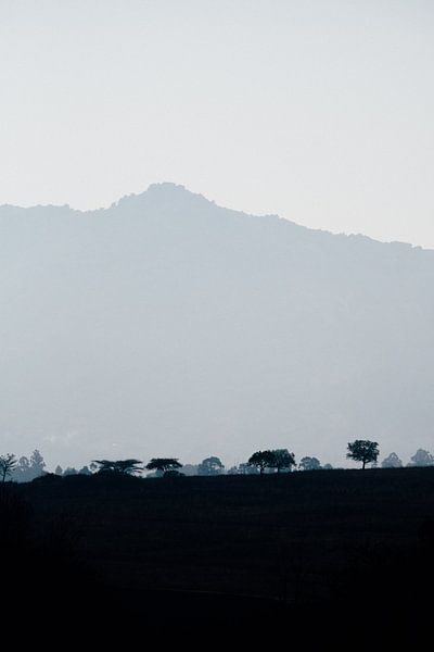 Landscape in eSwatini, Swaziland, during the blue hour by Suzanne Spijkers
