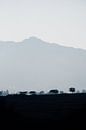 Landscape in eSwatini, Swaziland, during the blue hour by Suzanne Spijkers thumbnail