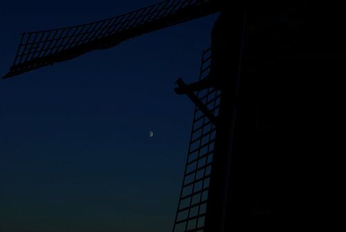 The Windmill