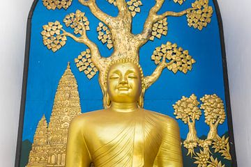 Gouden Boeddhabeeld bij de World Peace Pagoda in Pokhara