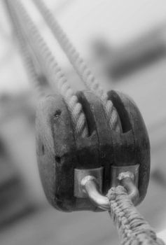 le lien le plus fort