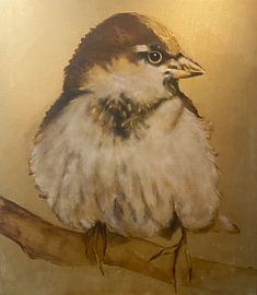 The Sparrow by Jacqueline de Vries  'JAC Studio & Gallery'