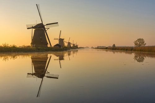 Zonsopkomst bij de Molens van Kinderdijk