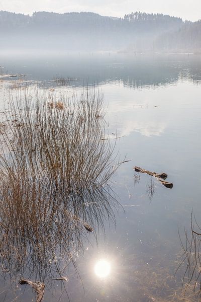 Stiller Edersee in de ochtend van Christian Müringer