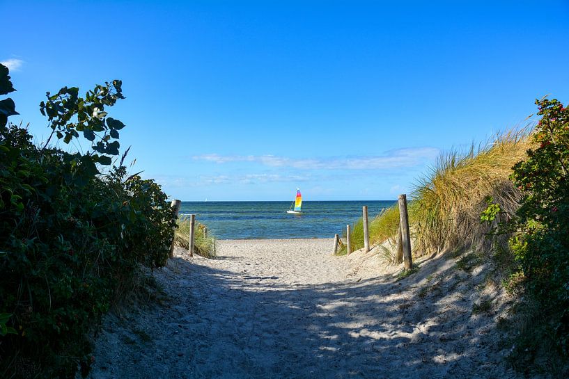 Dunes et mer par Claudia Evans