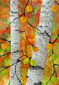 Birken im Herbst