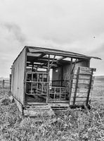 meadow car