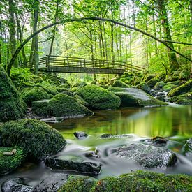 Saußbachklamm van Berthold Ambros