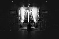Follow the light