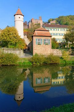 Wertheim with the Tauber River and the Castle van Gisela Scheffbuch
