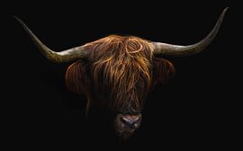 Schottischer Highlander von Karel Ton