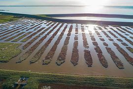 Inlaag van Bernardine de Laat