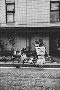 De Hartslag van Tokyo: De Mensen Die de Stad Vormen van Ken Tempelers