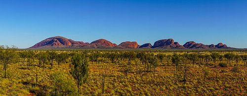 De Olgas - Kata Tjuta
