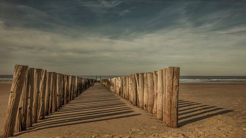 beach posts Zealand