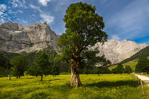 Großer Ahornboden in the Karwendel Nature Park