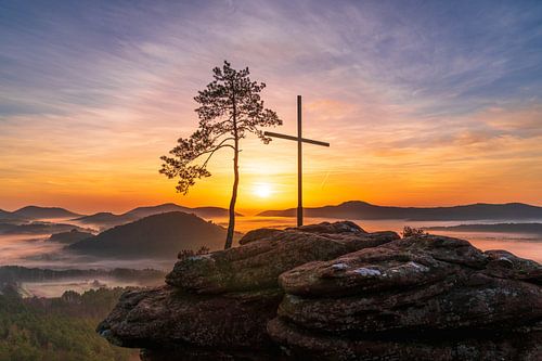 Perfecte zonnestand op de Rötzenberg