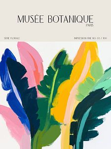 Musée Botanique No 20