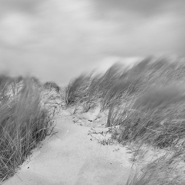storm van Sybe Postma