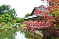 Japanse tuin in Hasselt België