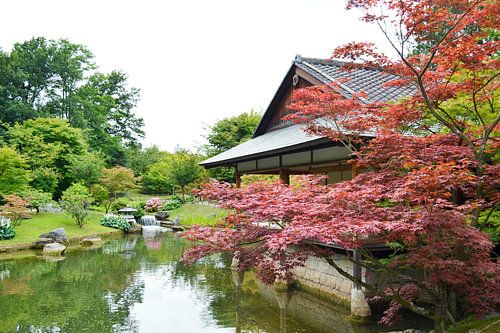 Japanse tuin in Hasselt België