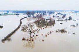 Hochwasser in der IJssel von Paul Oostveen