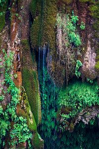 Naturellement Vert