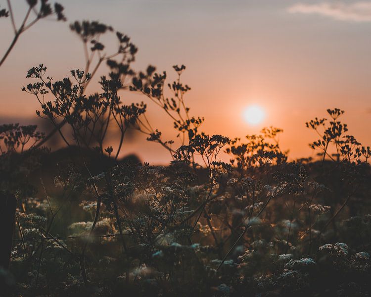 Sunset in Schinnen by Angelique Theunissen