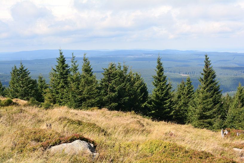Harz National Park by Heiko Kueverling