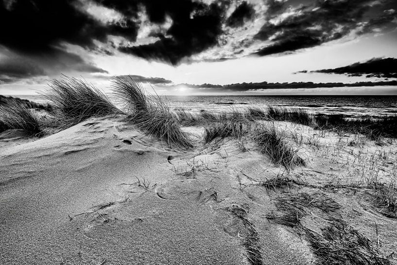 La côte néerlandaise avec les dunes et la mer du Nord par eric van der eijkj
