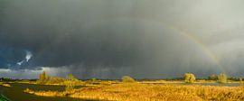 Regenbogen während eines herbstlichen Regenschauers über der IJssel von Sjoerd van der Wal Fotografie