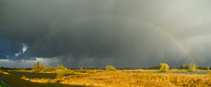 Regenbogen während eines herbstlichen Regenschauers über der IJssel