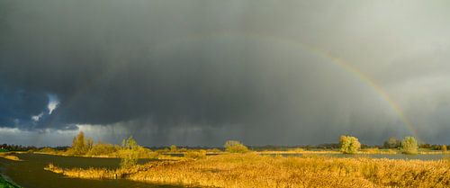 Regenboog tijdens een herfstbui boven de IJssel