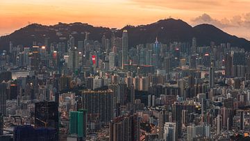 Hongkong Skyline van Photo Wall Decoration