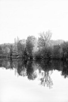 Bomenliefde en natuur in het water van Schwarzkopf-Photoart