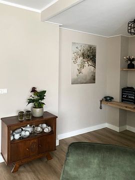 Kundenfoto: Olivenbaum