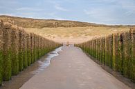 Zeeland strand golfbrekers 3 par John Ouwens Aperçu