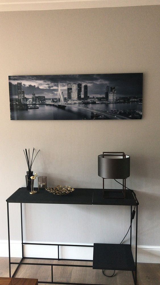 Skyline Rotterdam Erasmus Bridge - Metallic Grey  by Vincent Fennis 