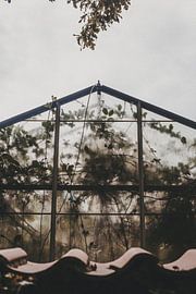 Botanical Greenhouse by Floortje Louise