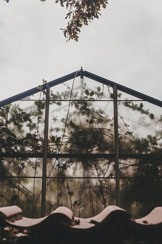 Botanical Greenhouse by Floortje Louise
