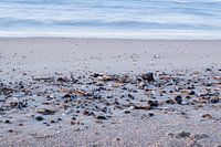 When the sea kissed the shore
