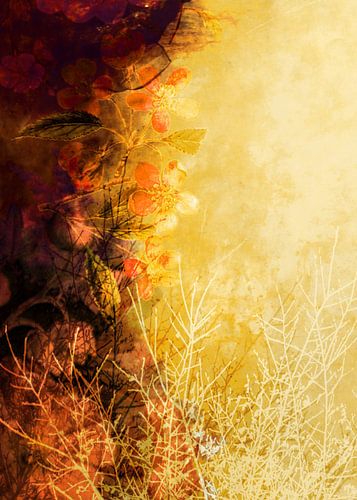 LOVELY FLOWERS ARE KISSING A YELLOW FIELD Iv3