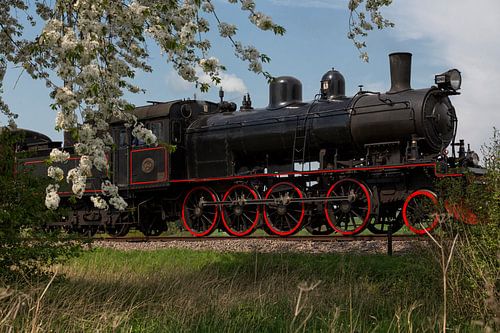 Bloesemtijd bij de Miljoenenlijn