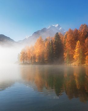 Goldener Herbst von Markus Stauffer