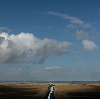 Salzwiese im Norden von Groningen (quadratische Version)