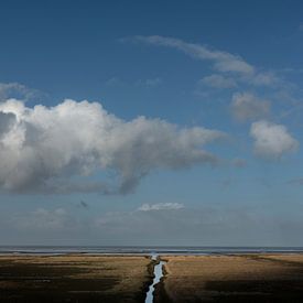 Salt marsh in northern Groningen (square version) by Bo Scheeringa Photography